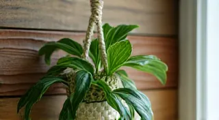 Your First Macrame Project: A Simple Plant Hanger Tutorial